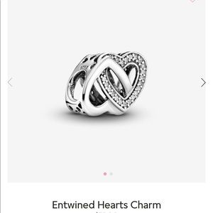 Pandora Silver Charm